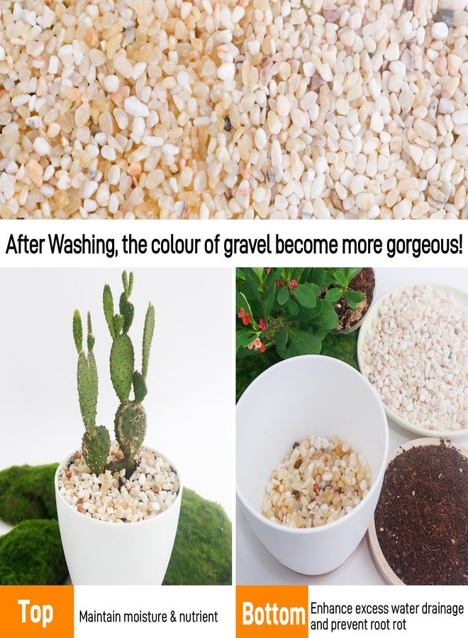 CJGQ 2.4lb Aquarium Gravel for Plants,1/5 Inch Natural Decorative River Rocks for Succulent and Cactus Landscaping, Natural Small Rocks for Fish Tanks, Vases & Terrariums - Image 4